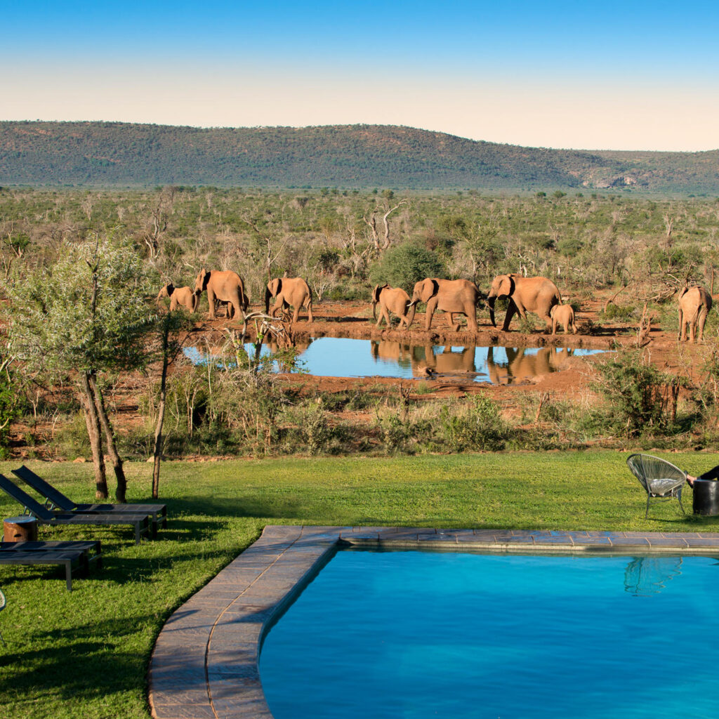 Lelapa Lodge Guest pool view