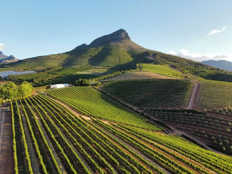 Travel to the winelands in style