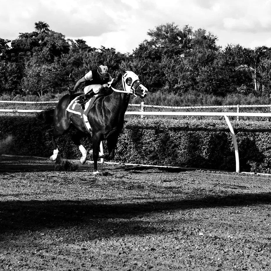 Bastion Aviation Durban July (1)