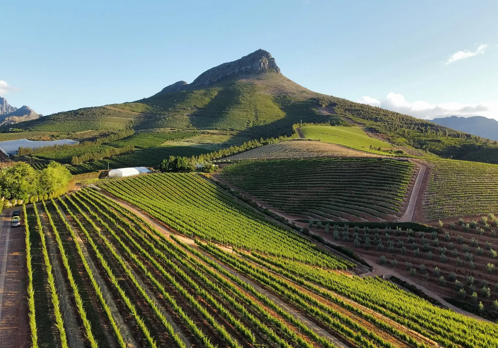 Cape Winelands Private Charter (1)