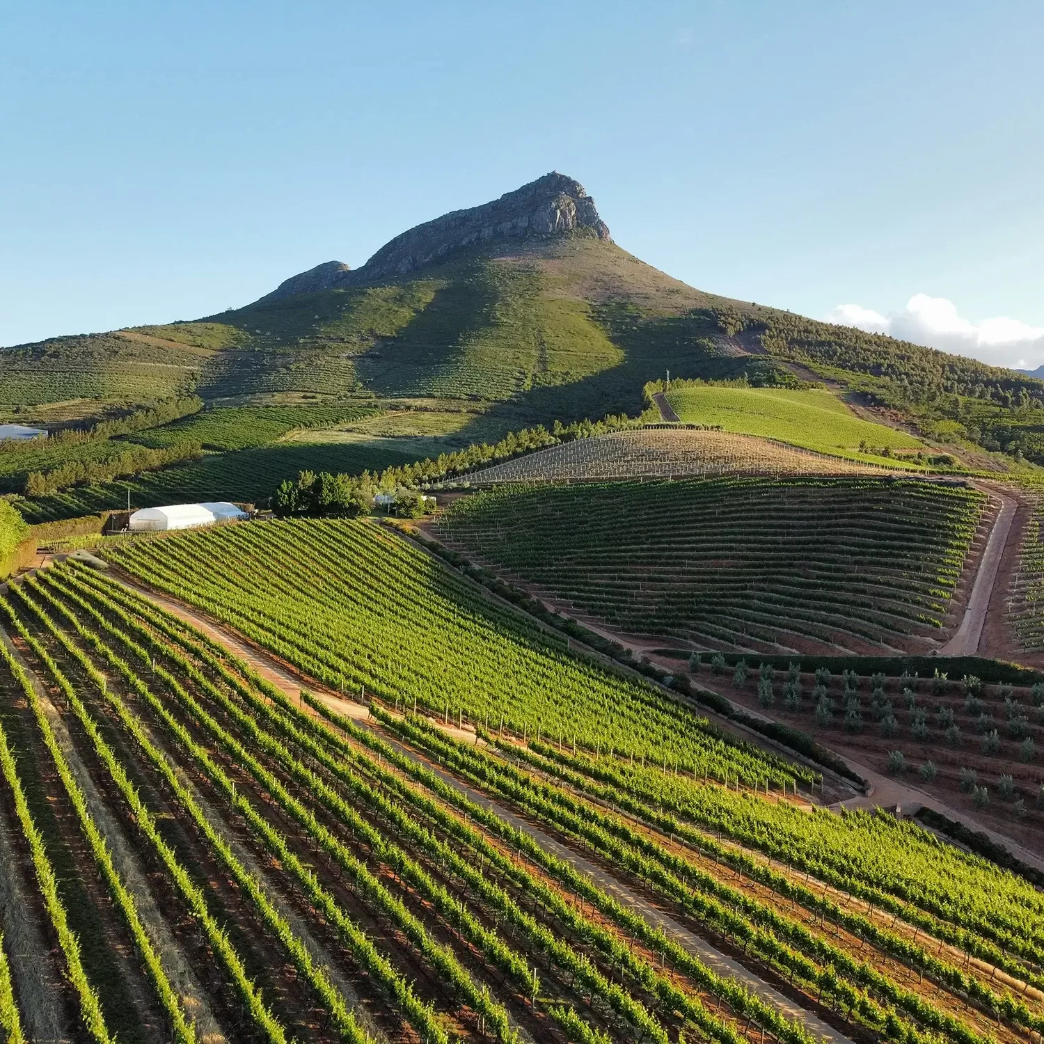 Cape Winelands Private Charter (1)