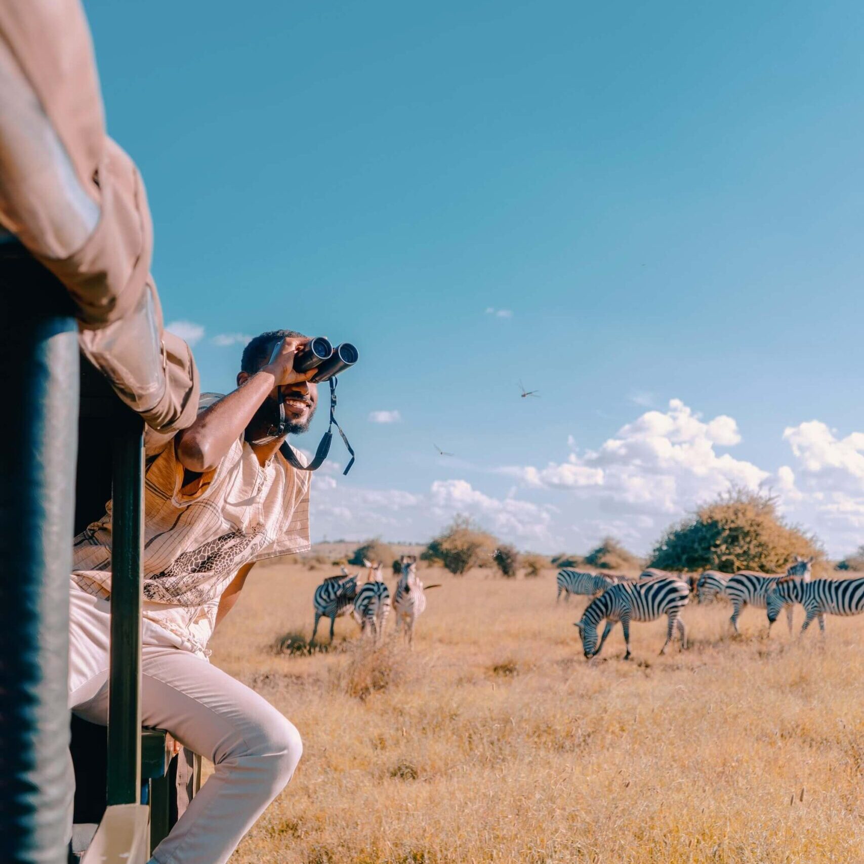 How to Plan a Luxury Safari Itinerary with Private Flights in Southern Africa