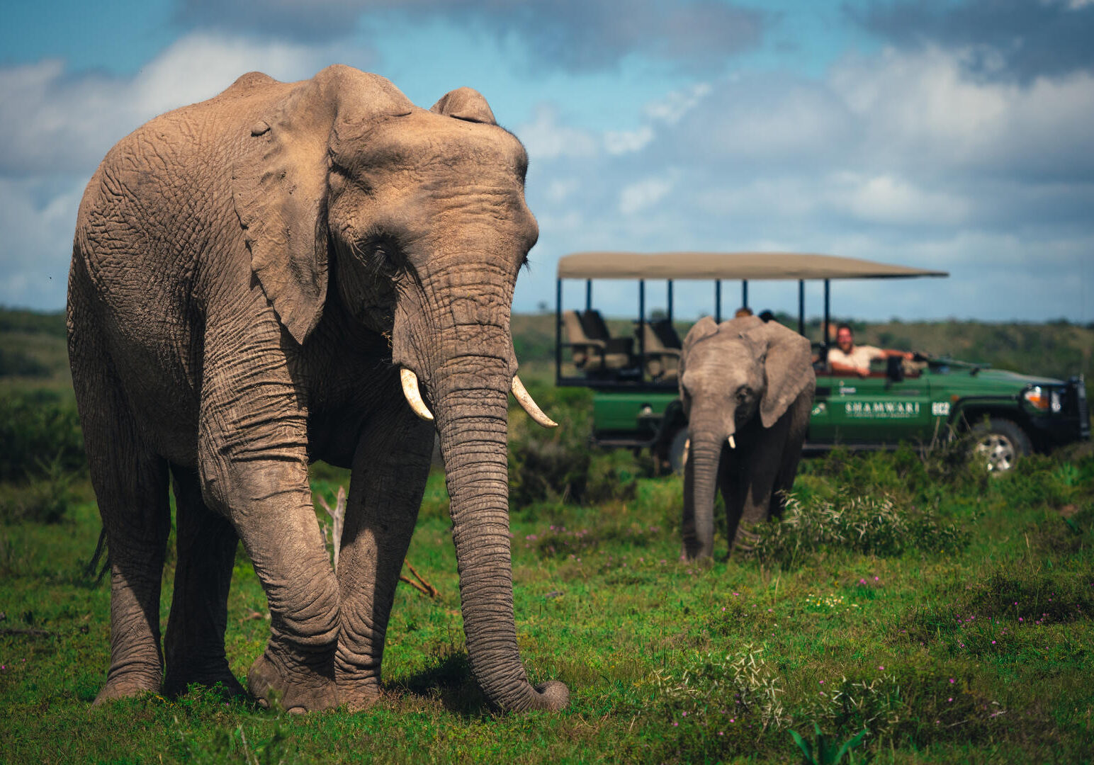 Shamwari Private Game Reserve_1